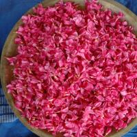 20081111_Photo_1938_DSC_2330_CMP_WM