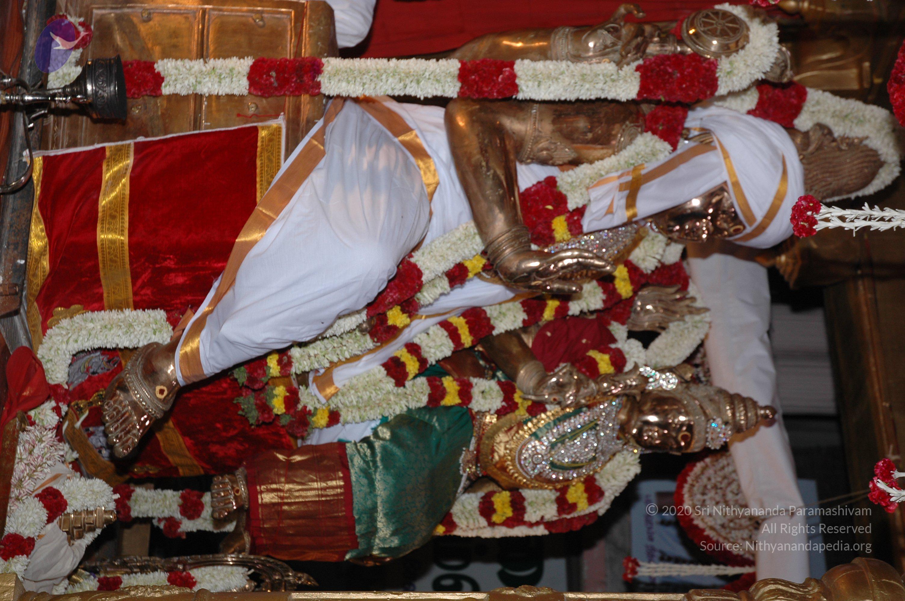 20081111_Photo_1951_DSC_2949_CMP_WM