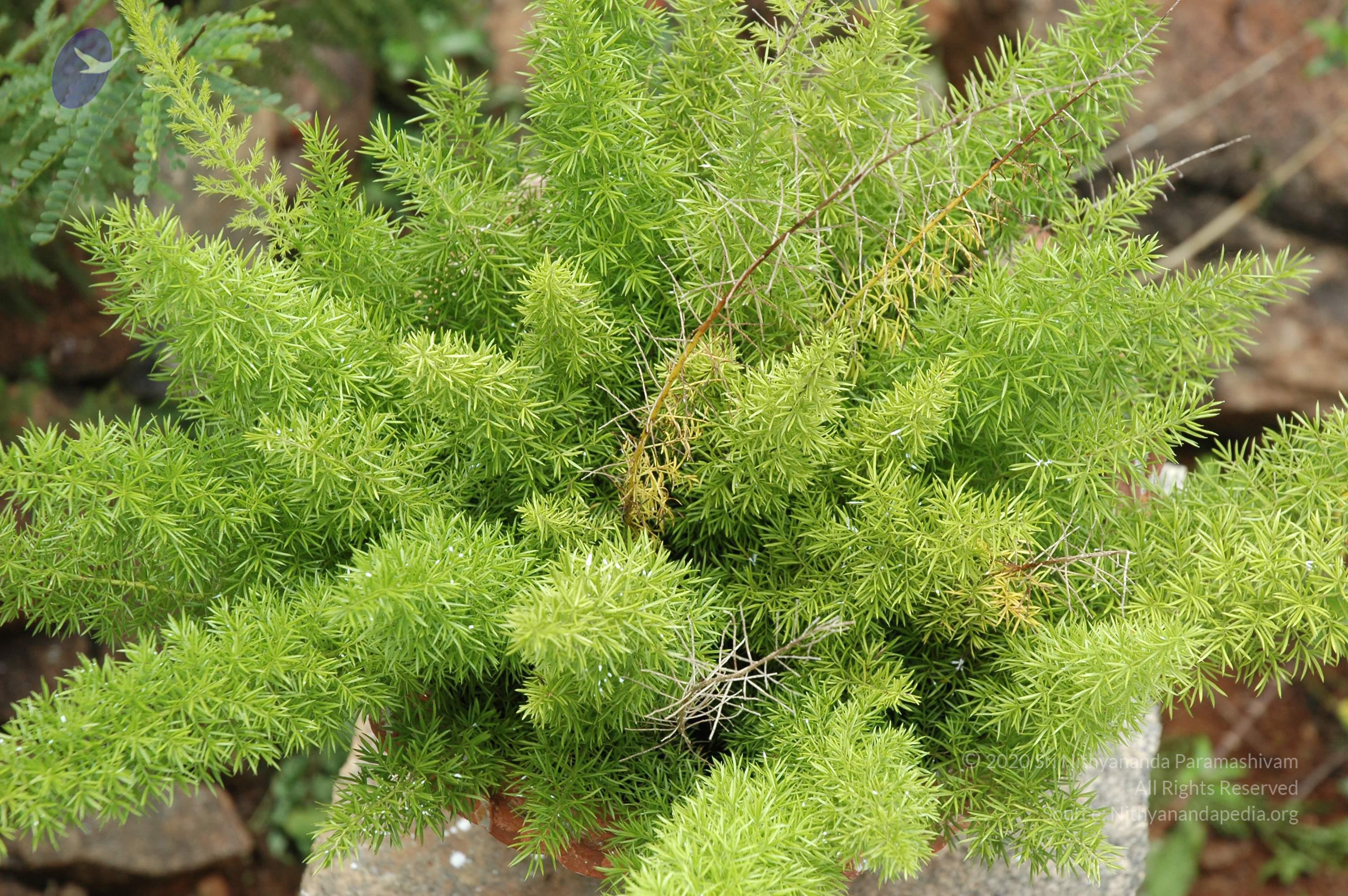 20081111_Photo_1954_DSC_2745_CMP_WM