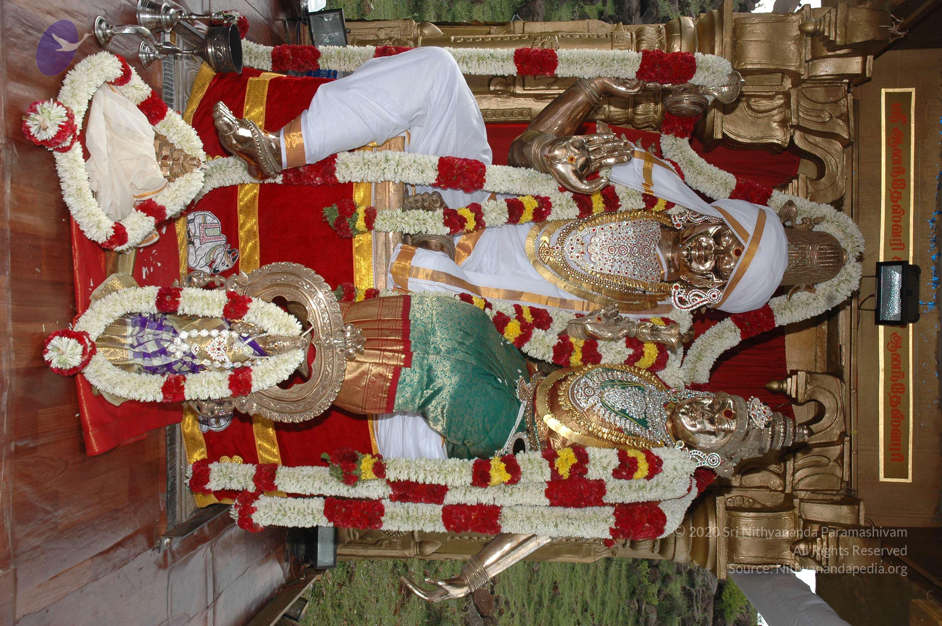 20081111_Photo_1961_DSC_2895_CMP_WM