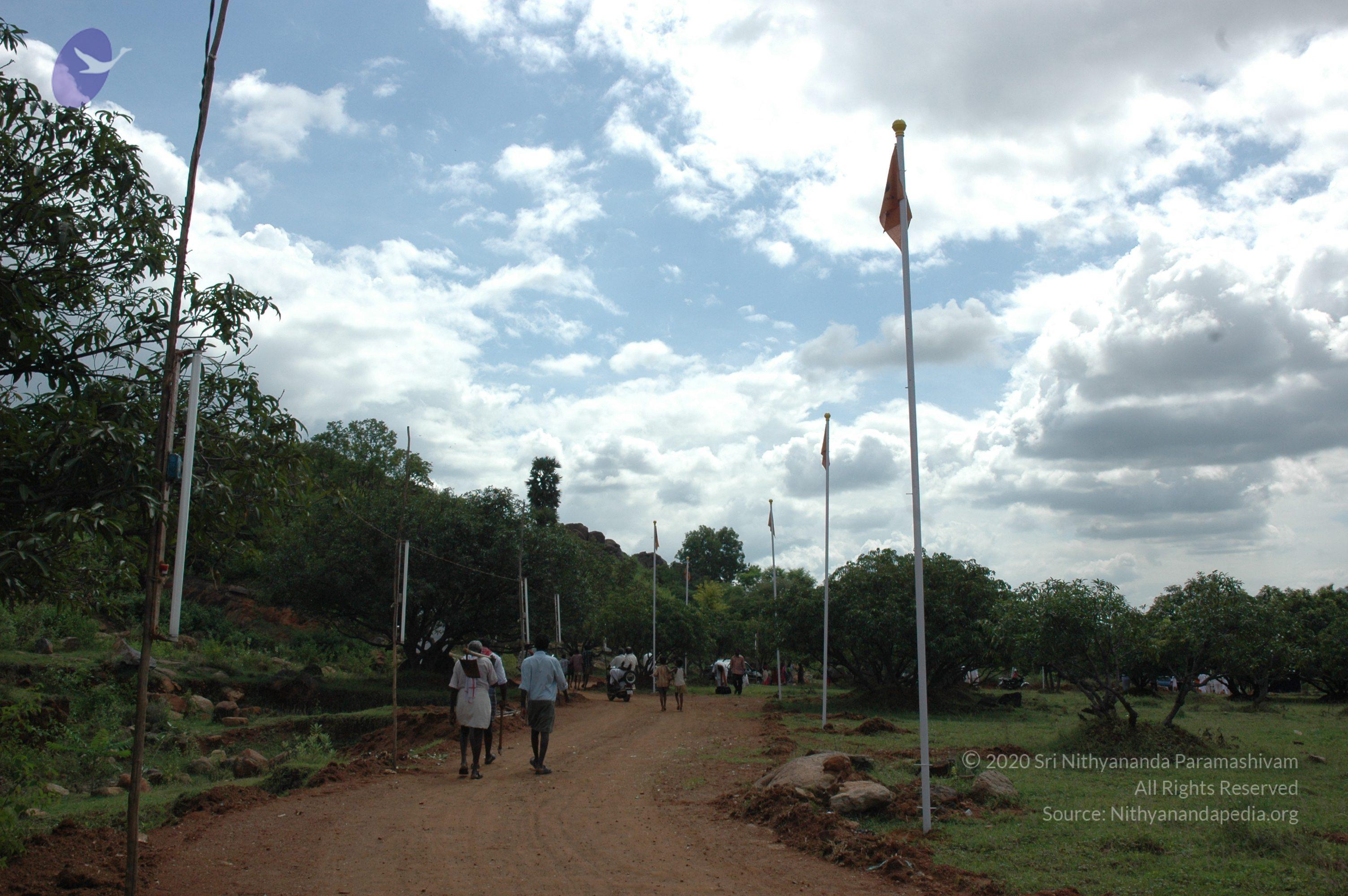 20081111_Photo_1964_DSC_2727_CMP_WM