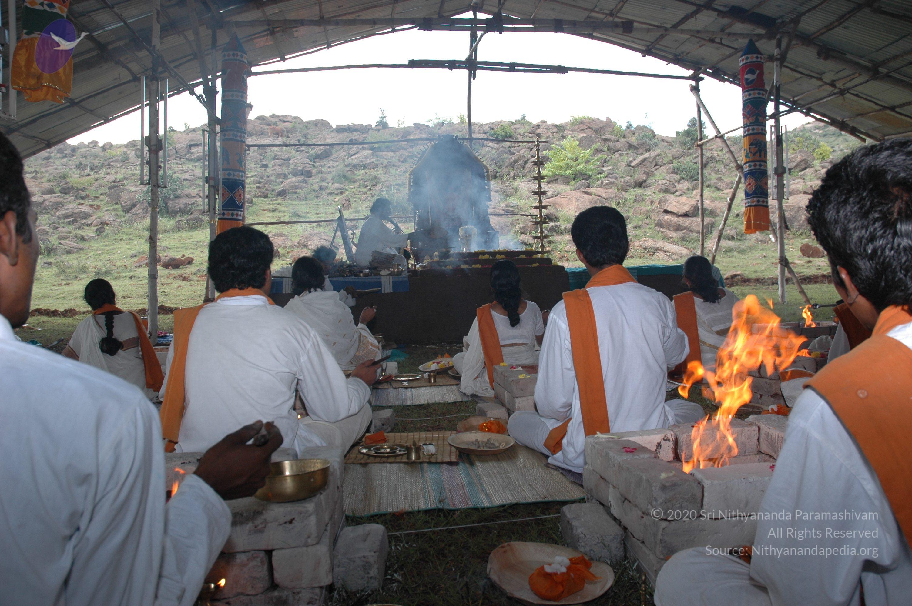 20081111_Photo_1981_DSC_2701_CMP_WM