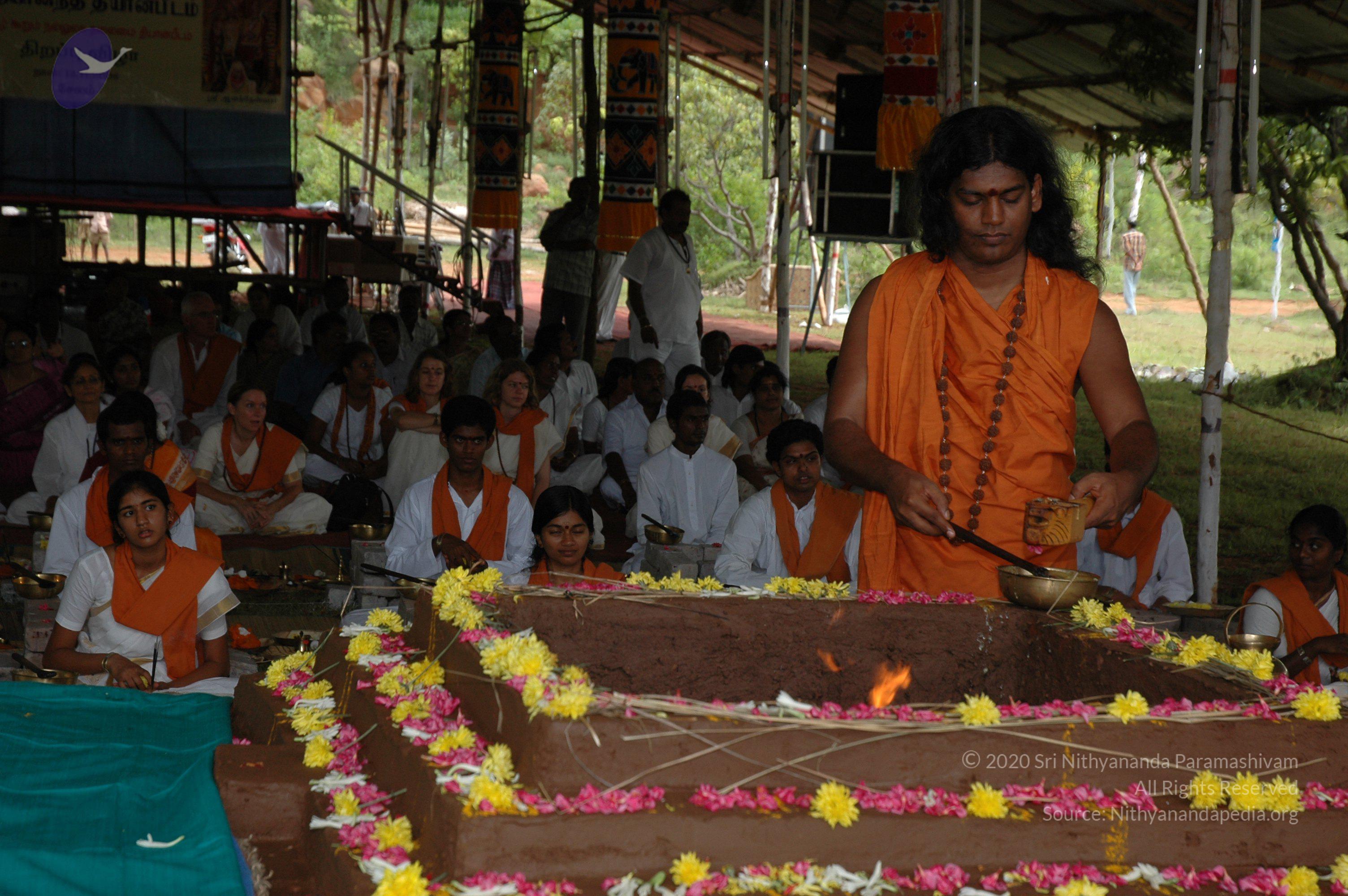 20081111_Photo_1985_DSC_2640_CMP_WM