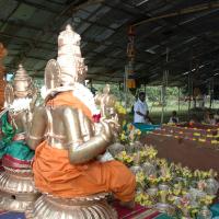 20081111_Photo_1990_DSC_2529_CMP_WM