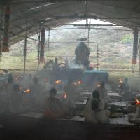 20081111_Photo_1505_DSC_2859_CMP_WM