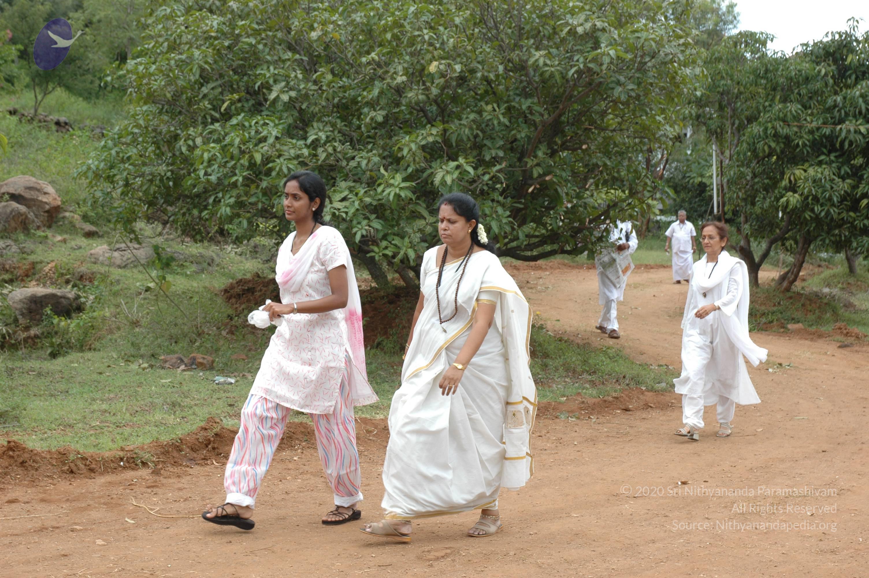 20081111_Photo_1517_DSC_2023_CMP_WM