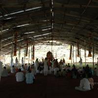 20081111_Photo_1547_DSC_2311_CMP_WM