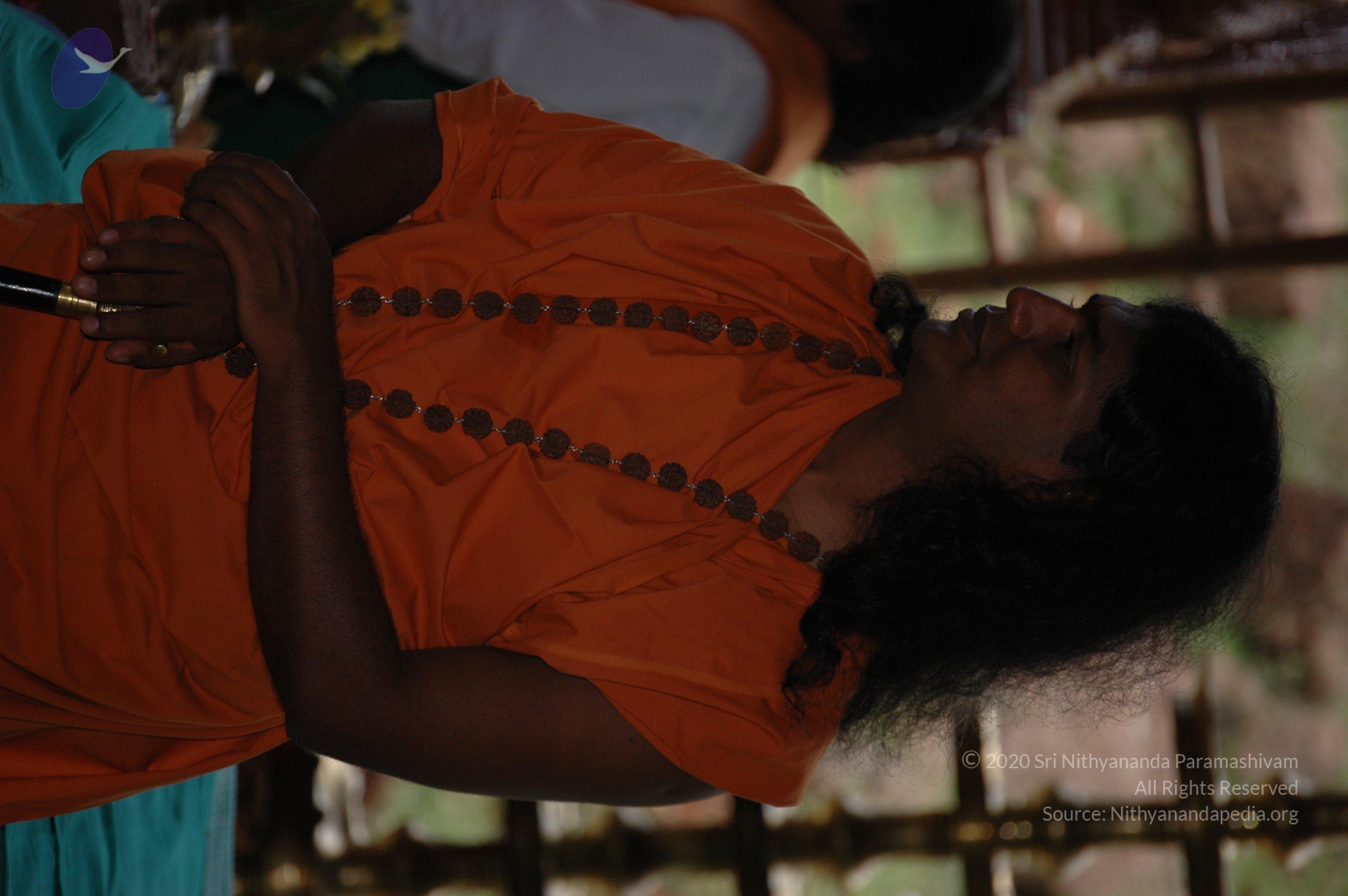 20081111_Photo_1557_DSC_2373_CMP_WM