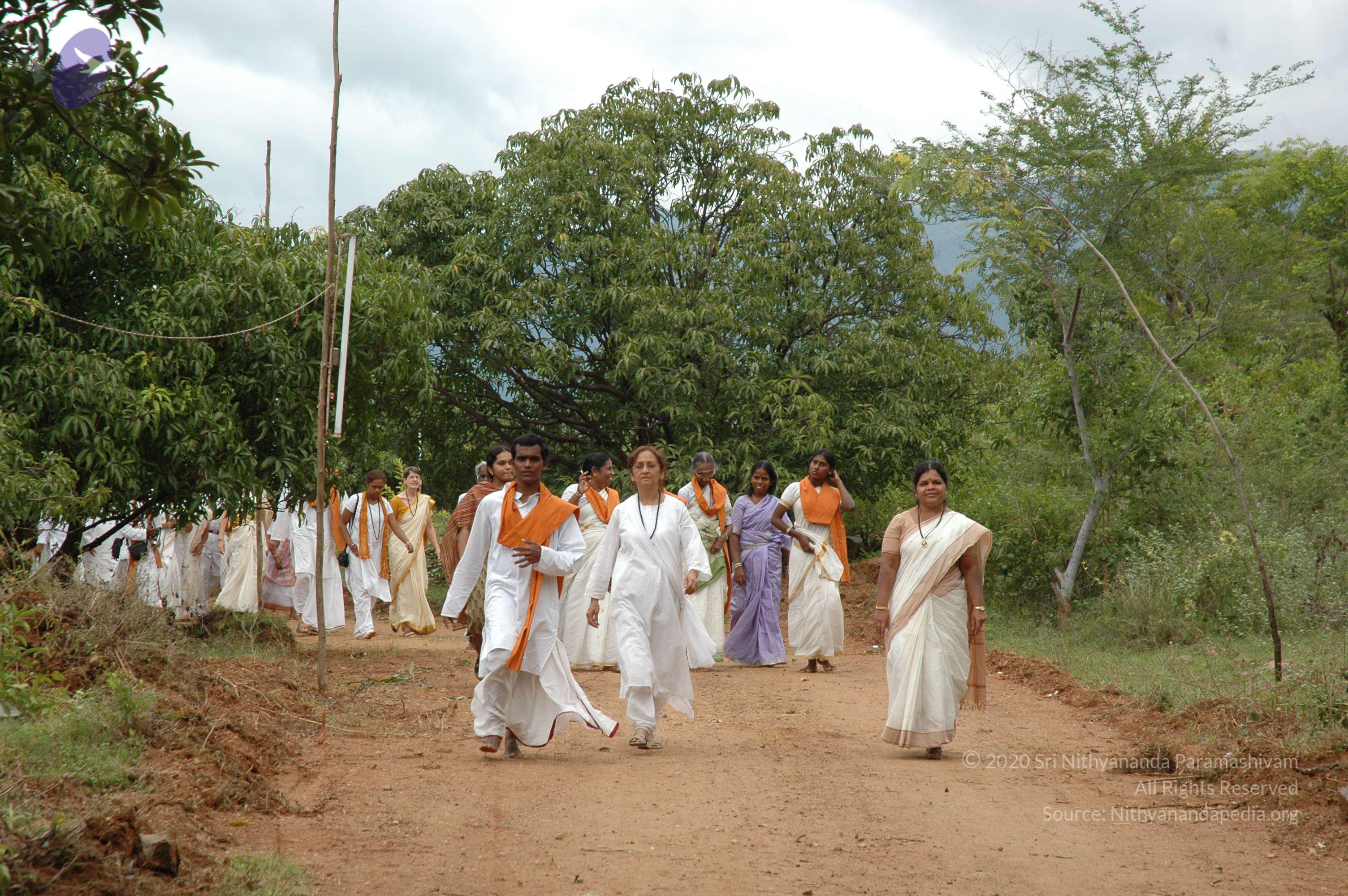 20081111_Photo_1559_DSC_1946_CMP_WM