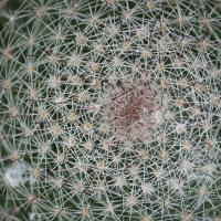 20081111_Photo_1581_DSC_2764_CMP_WM