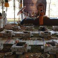 20081111_Photo_1589_DSC_2134_CMP_WM