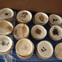 20081111_Photo_1590_DSC_2349_CMP_WM