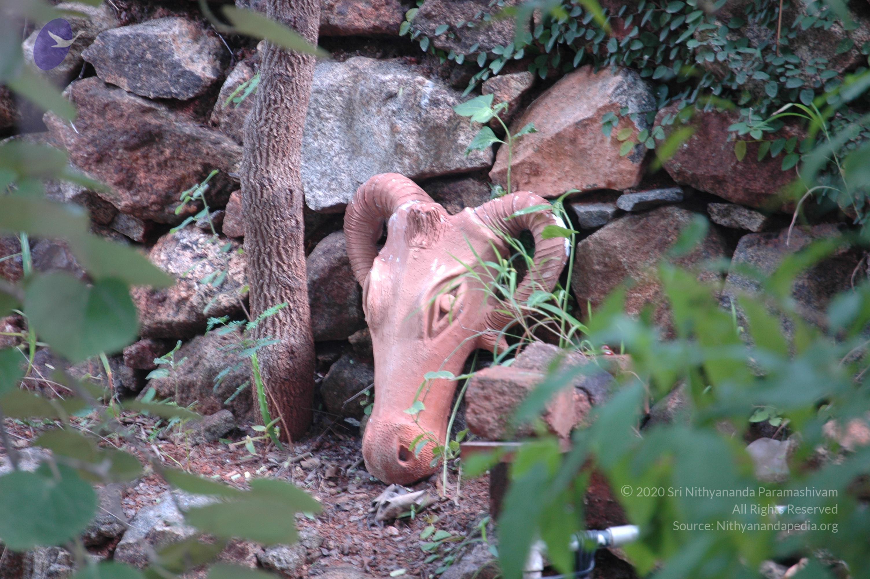 20081111_Photo_1618_DSC_2769_CMP_WM