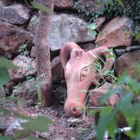 20081111_Photo_1618_DSC_2769_CMP_WM