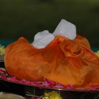 20081111_Photo_1620_DSC_2362_CMP_WM