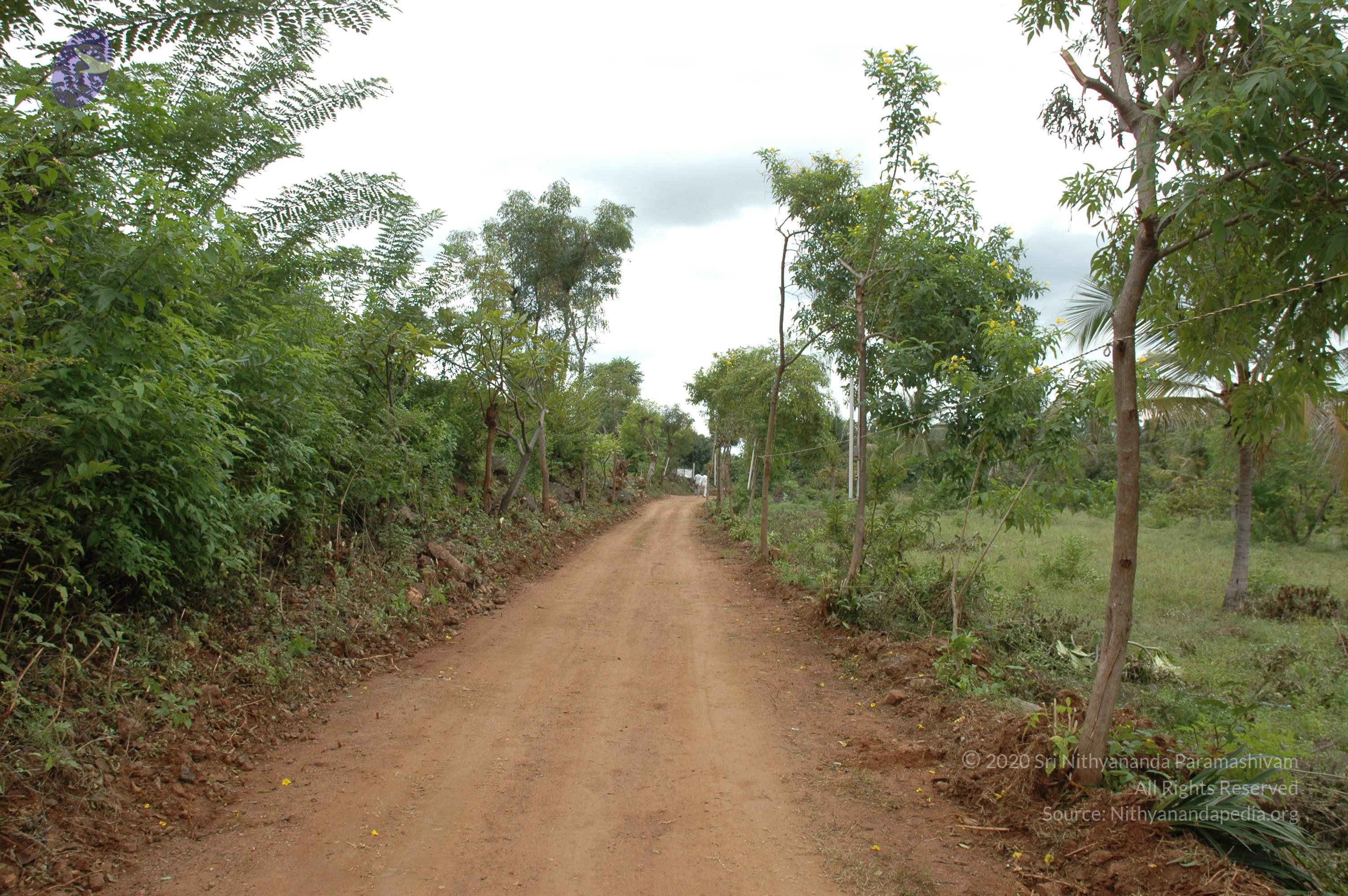 20081111_Photo_1625_DSC_1960_CMP_WM