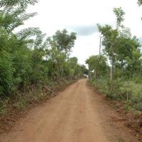 20081111_Photo_1625_DSC_1960_CMP_WM