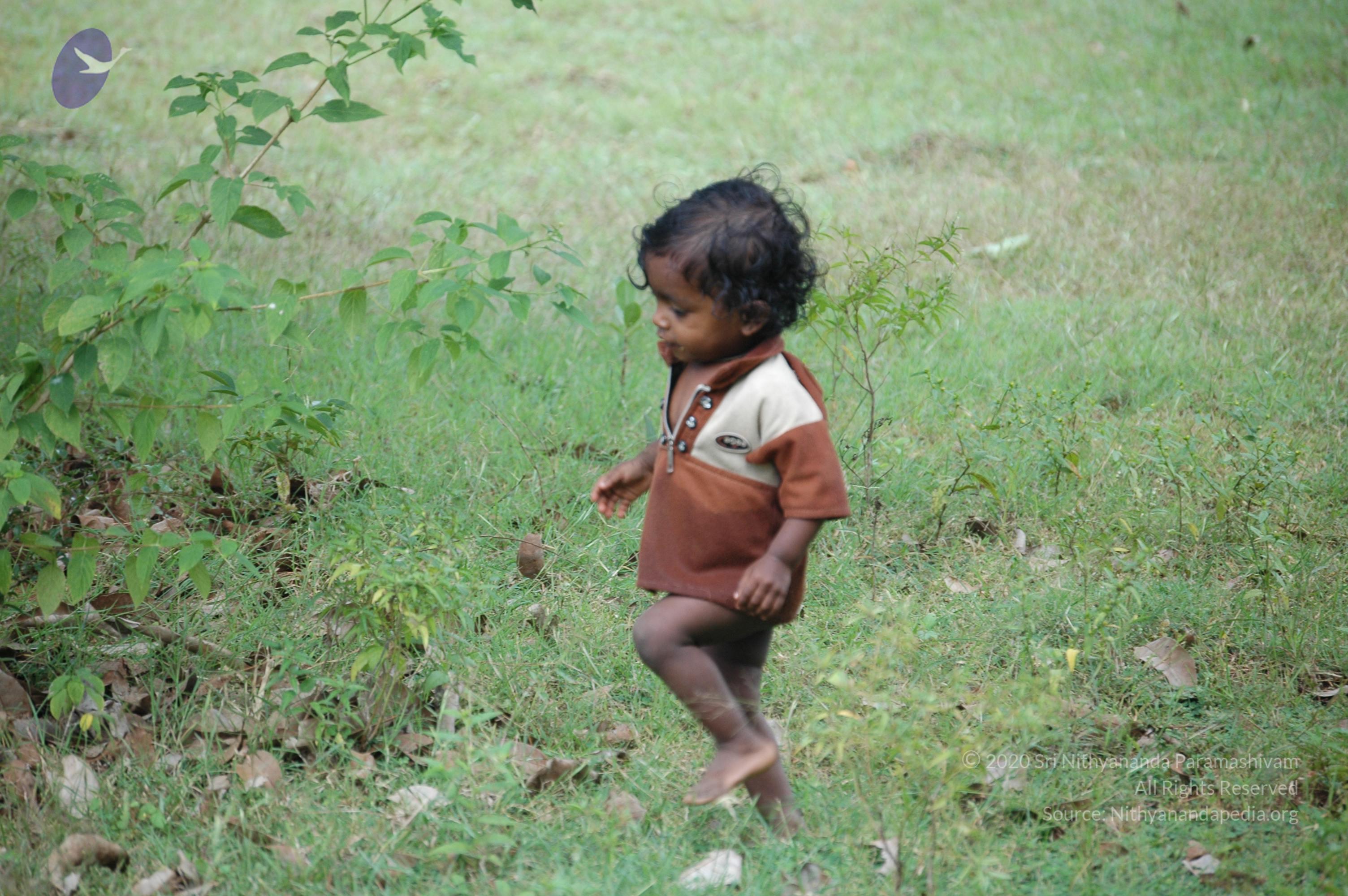 20081111_Photo_1644_DSC_2846_CMP_WM