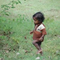 20081111_Photo_1644_DSC_2846_CMP_WM