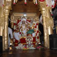 20081111_Photo_1651_DSC_2929_CMP_WM