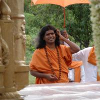 20081111_Photo_1661_DSC_2258_CMP_WM