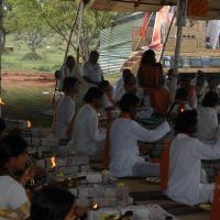 20081111_Photo_1665_DSC_2664_CMP_WM