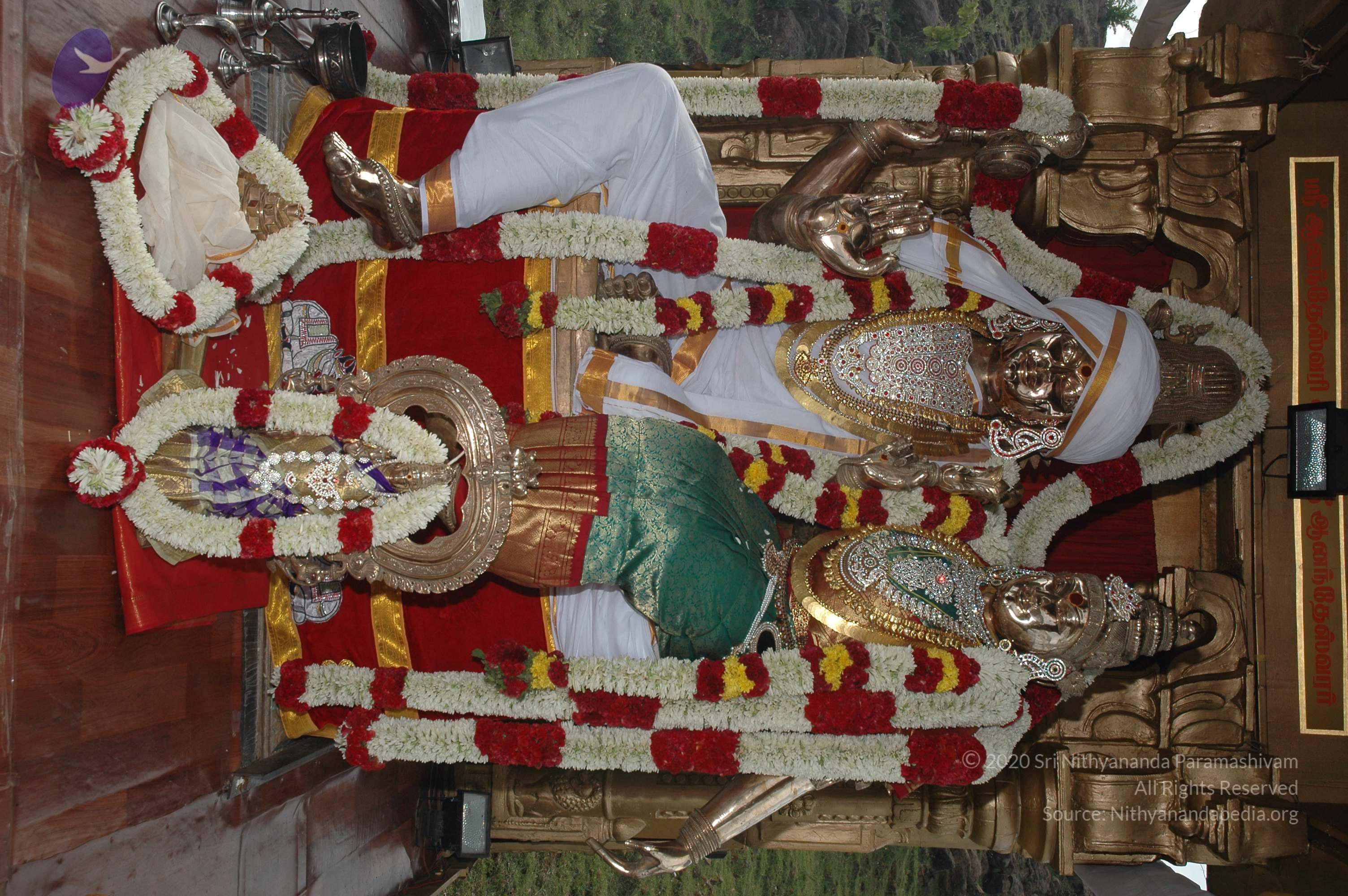 20081111_Photo_1667_DSC_2897_CMP_WM