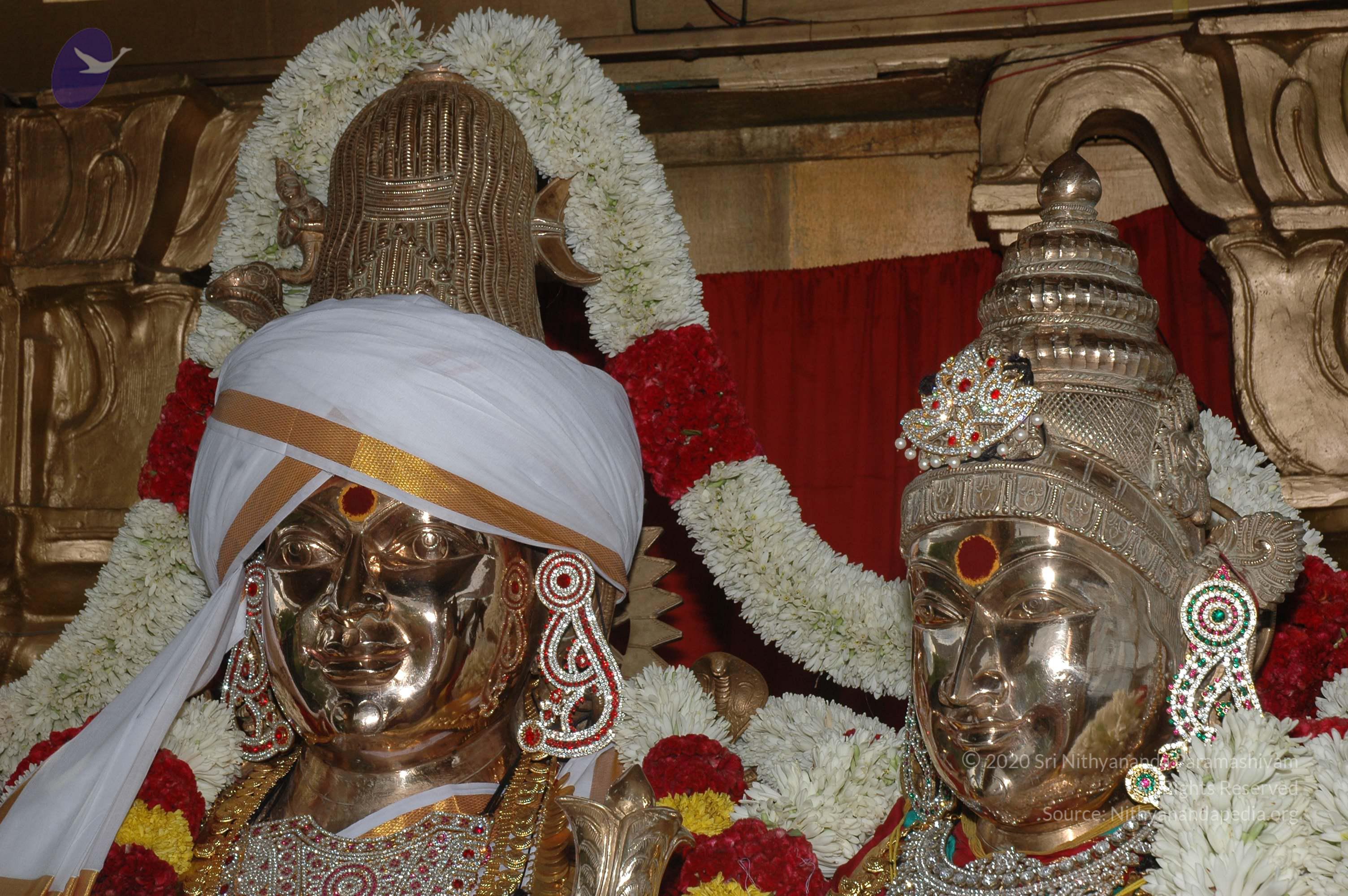 20081111_Photo_1684_DSC_2902_CMP_WM