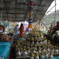 20081111_Photo_1690_DSC_2687_CMP_WM