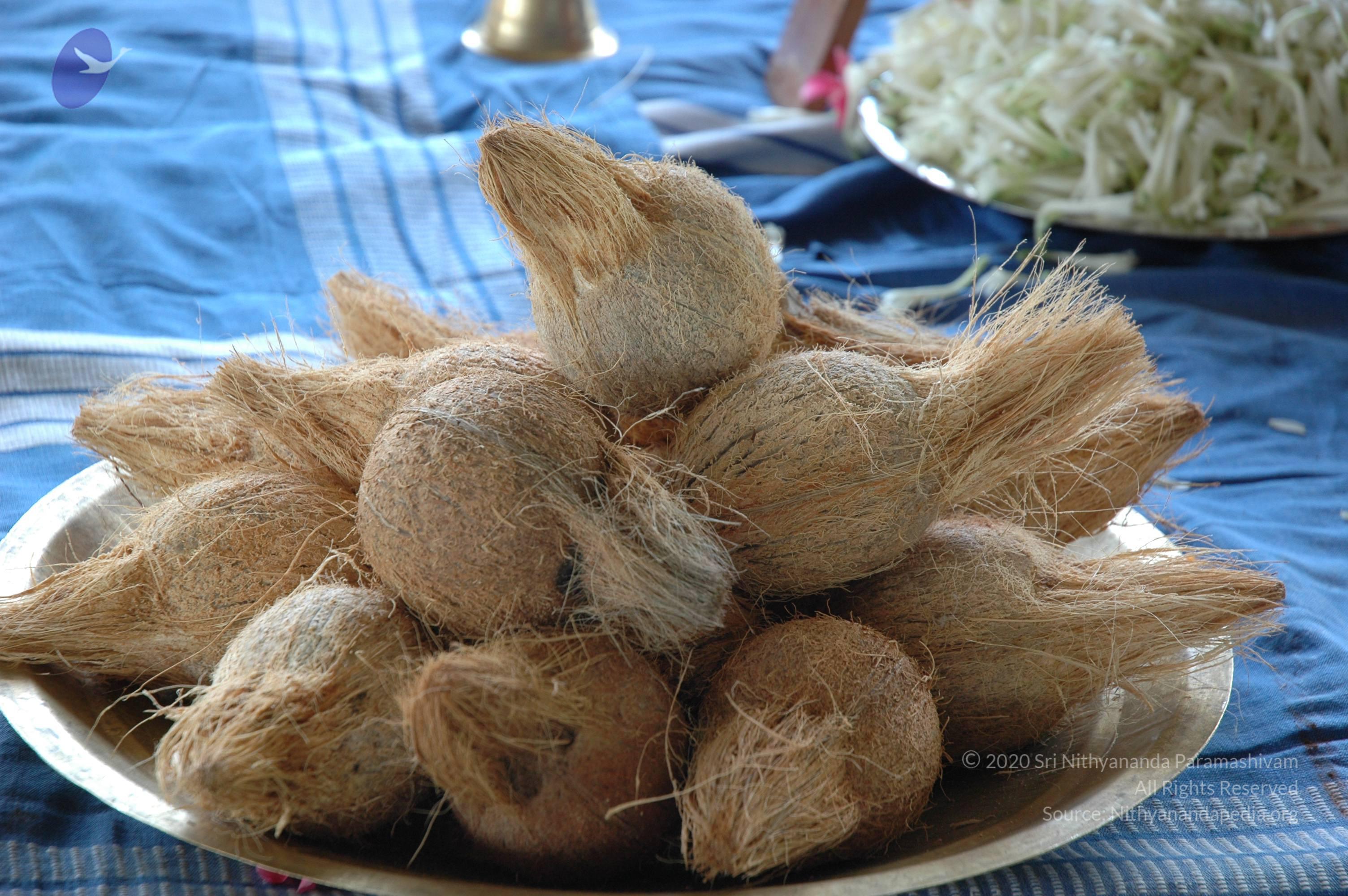 20081111_Photo_1697_DSC_2350_CMP_WM