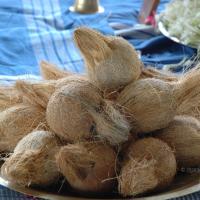 20081111_Photo_1697_DSC_2350_CMP_WM