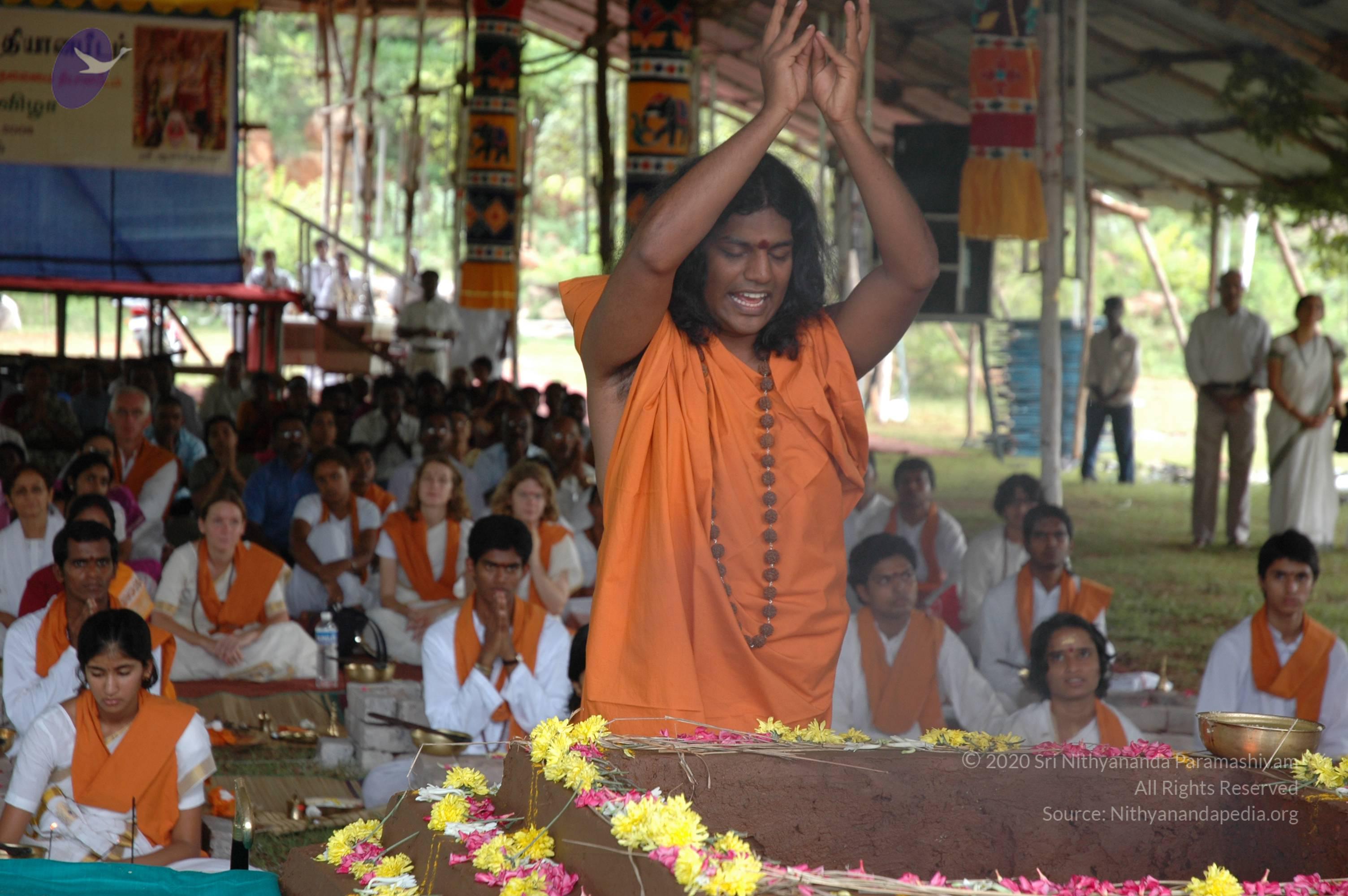 20081111_Photo_1704_DSC_2511_CMP_WM