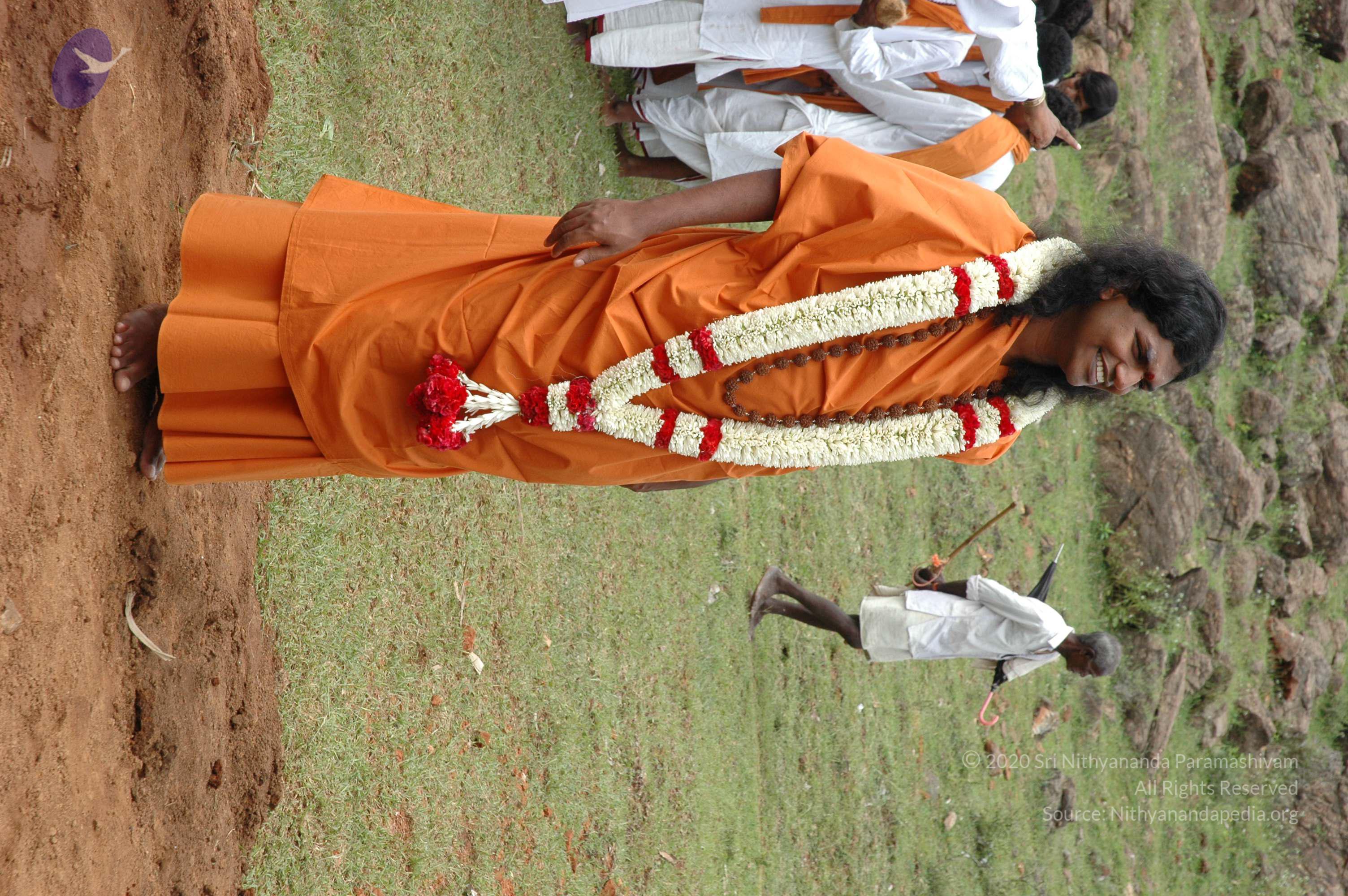 20081111_Photo_1711_DSC_2178_CMP_WM