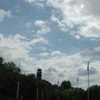 20081111_Photo_1722_DSC_2728_CMP_WM