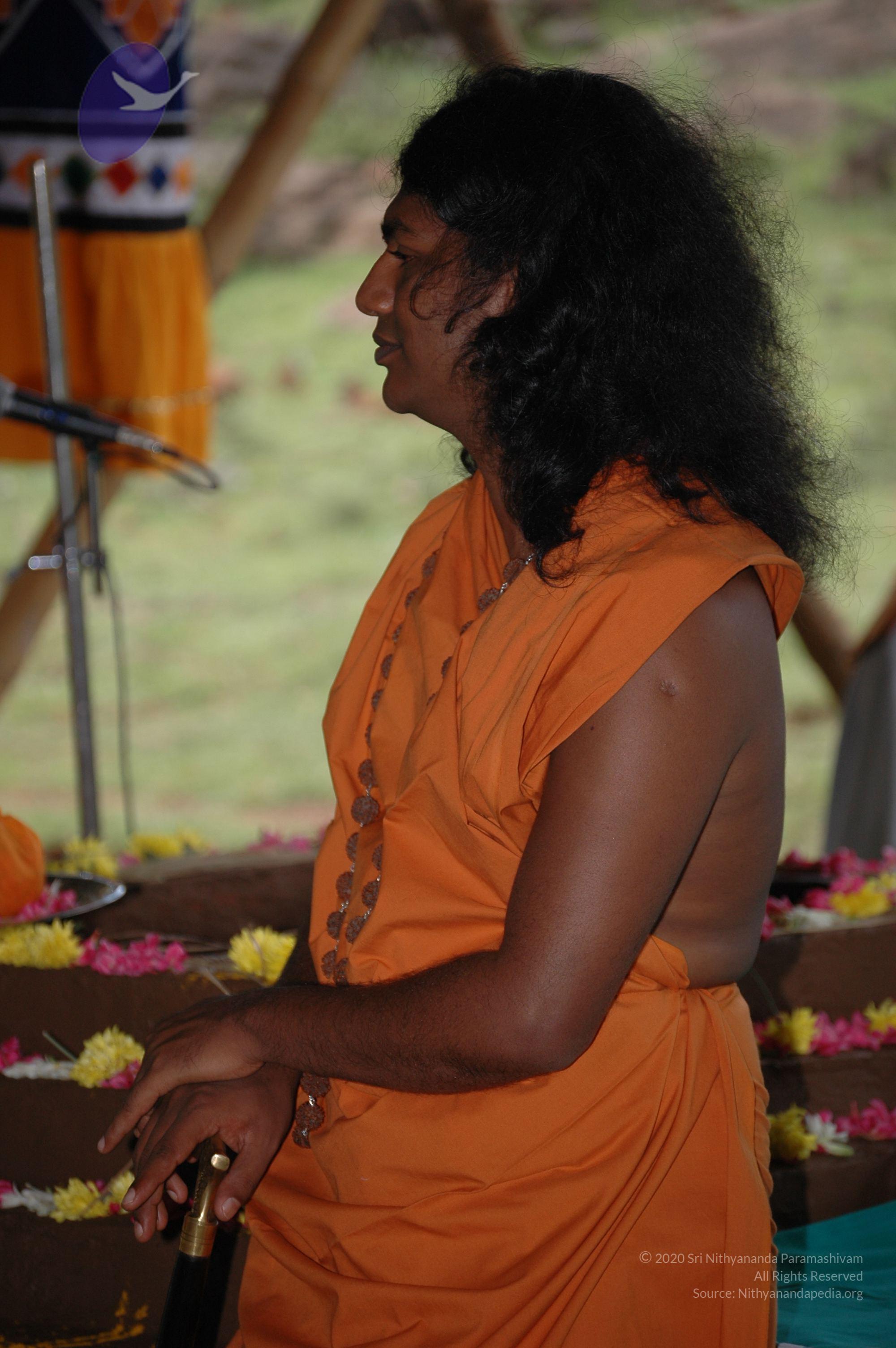 20081111_Photo_1736_DSC_2376_CMP_WM