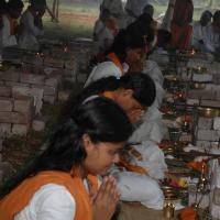 20081111_Photo_1737_DSC_2669_CMP_WM