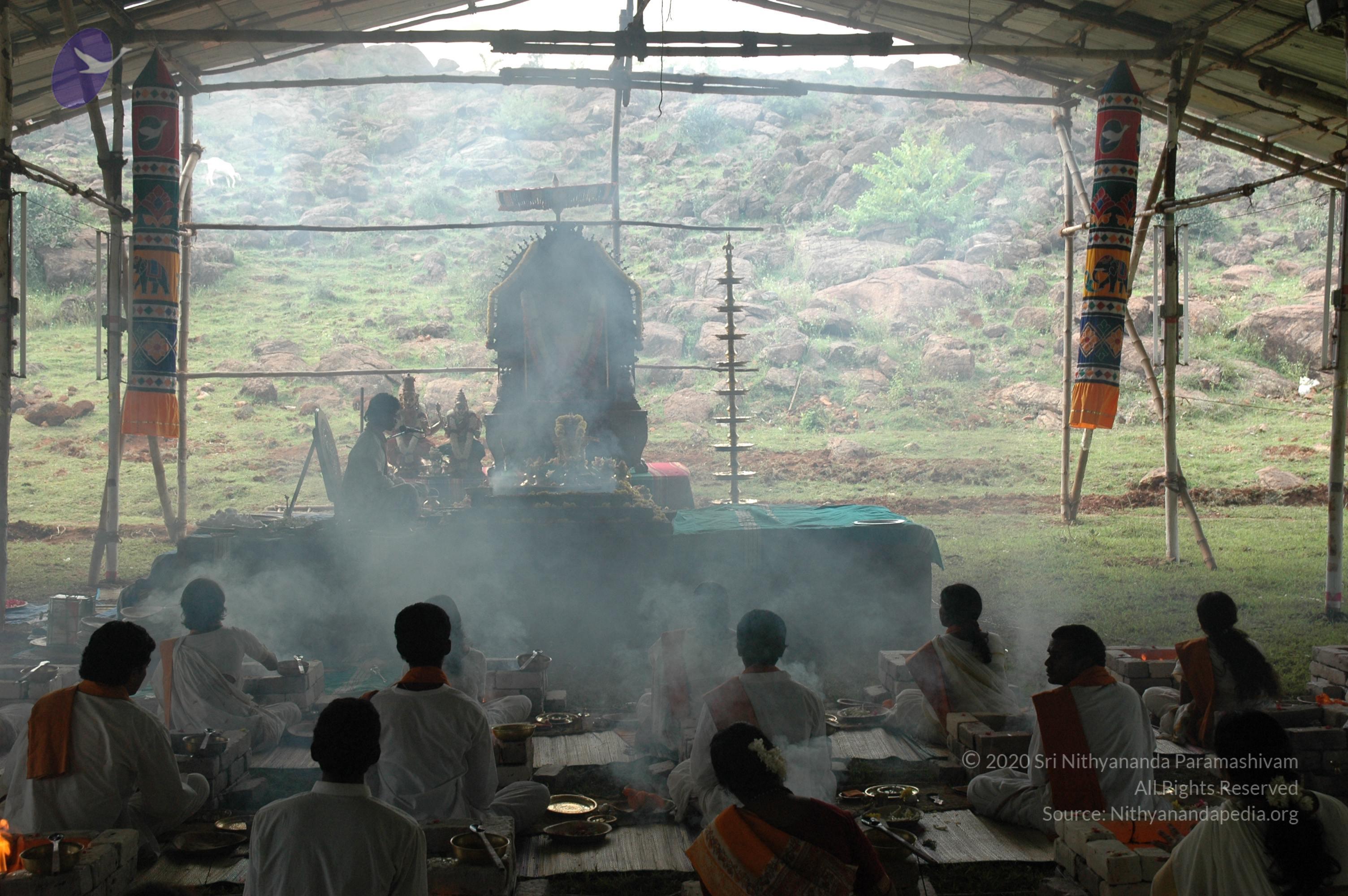 20081111_Photo_1743_DSC_2852_CMP_WM