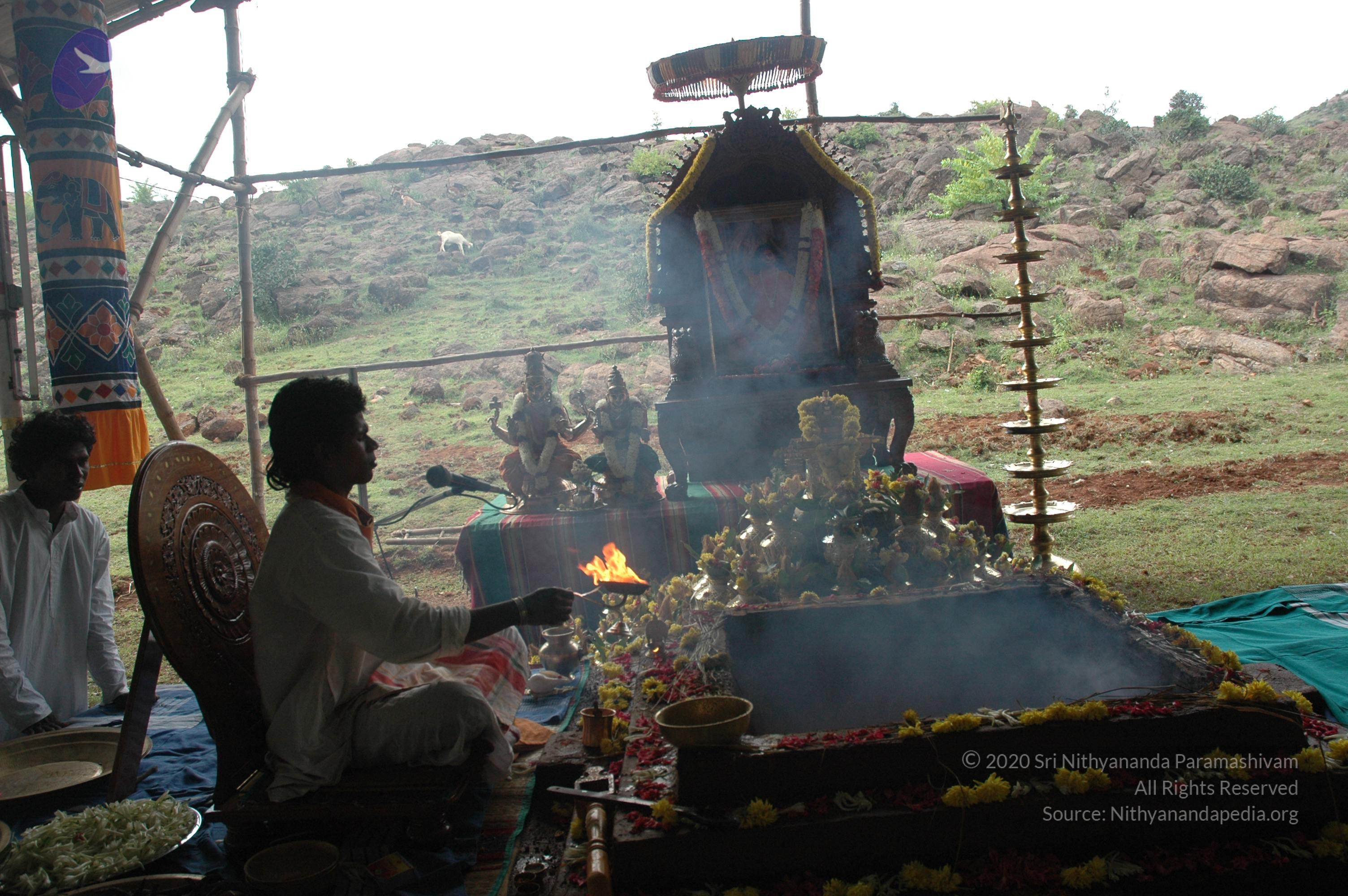 20081111_Photo_1746_DSC_2865_CMP_WM