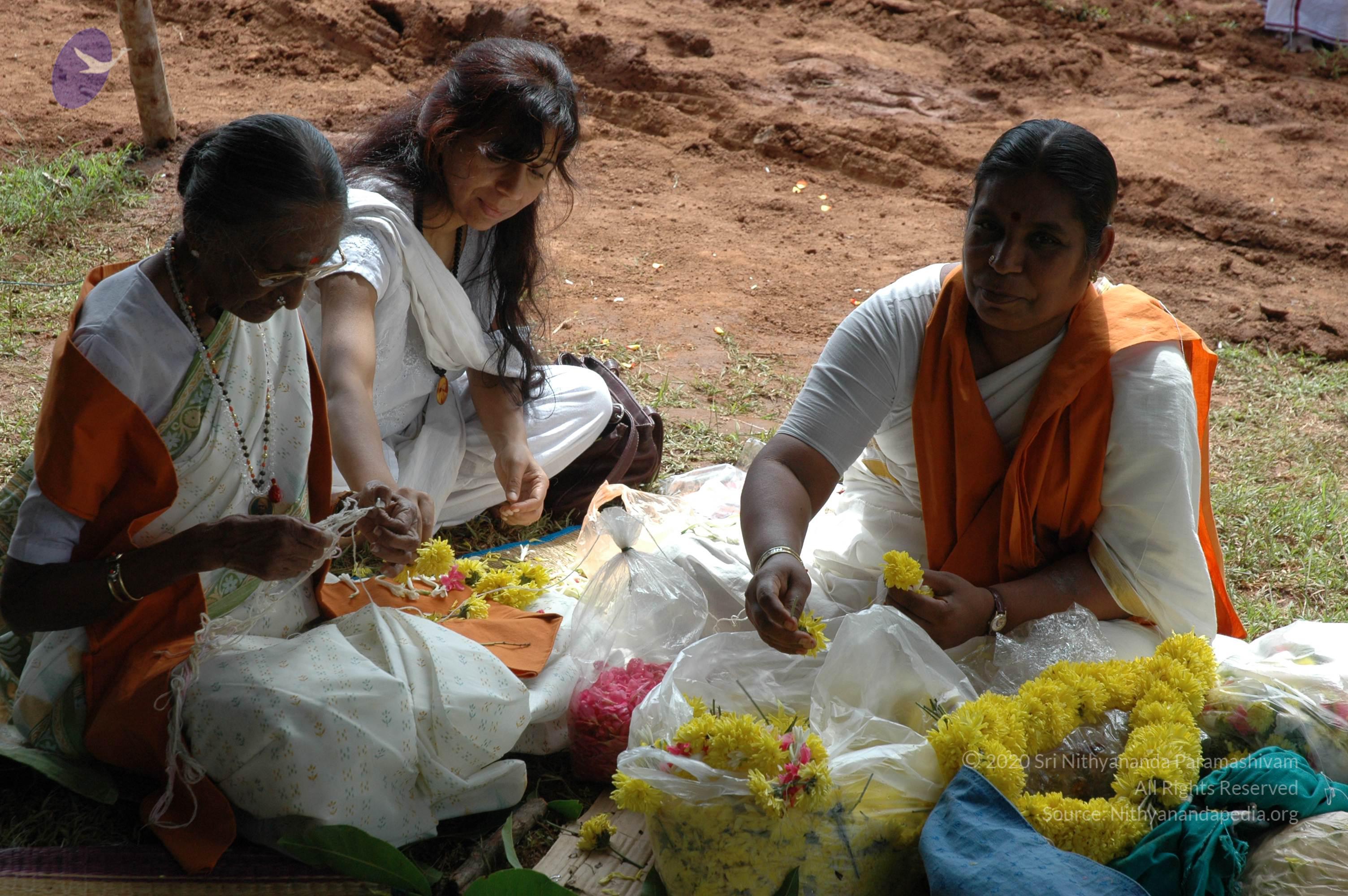 20081111_Photo_1755_DSC_2308_CMP_WM