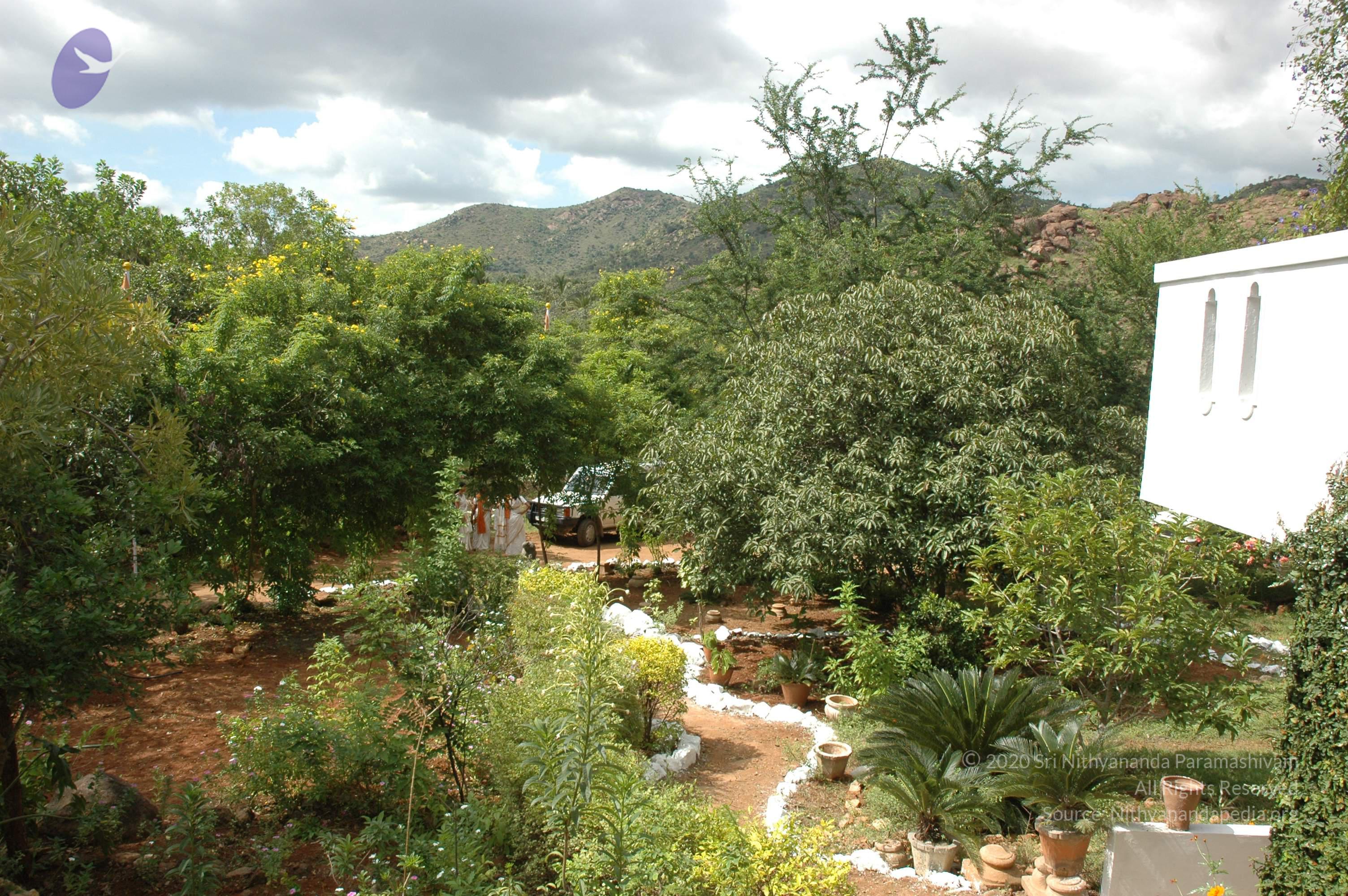 20081111_Photo_1766_DSC_2756_CMP_WM