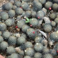 20081111_Photo_1798_DSC_2751_CMP_WM