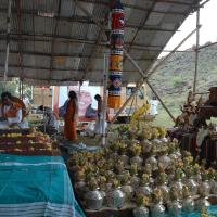 20081111_Photo_2000_DSC_2688_CMP_WM