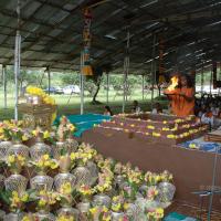 20081111_Photo_2003_DSC_2497_CMP_WM