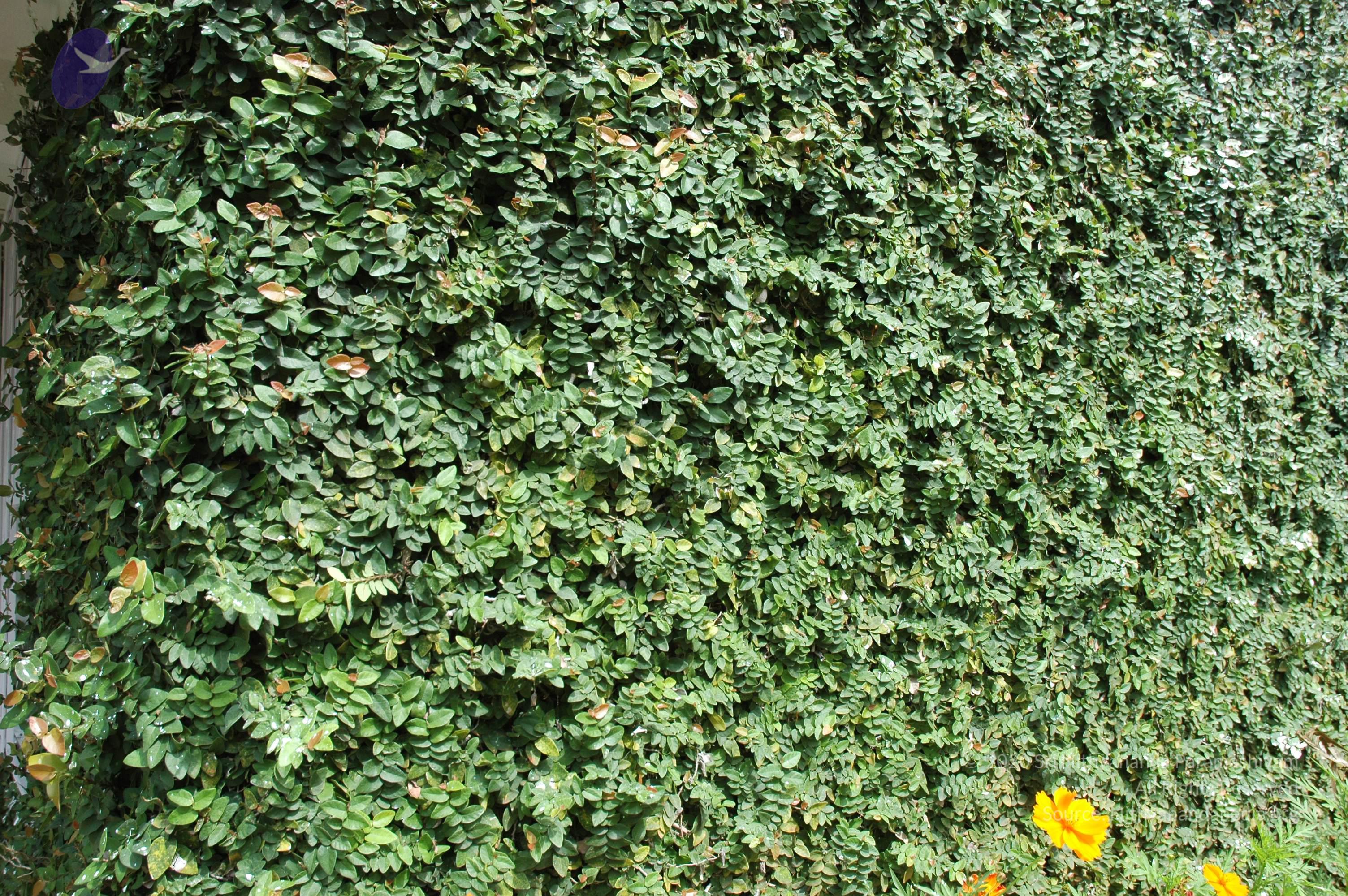 20081111_Photo_2020_DSC_2748_CMP_WM