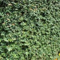 20081111_Photo_2020_DSC_2748_CMP_WM