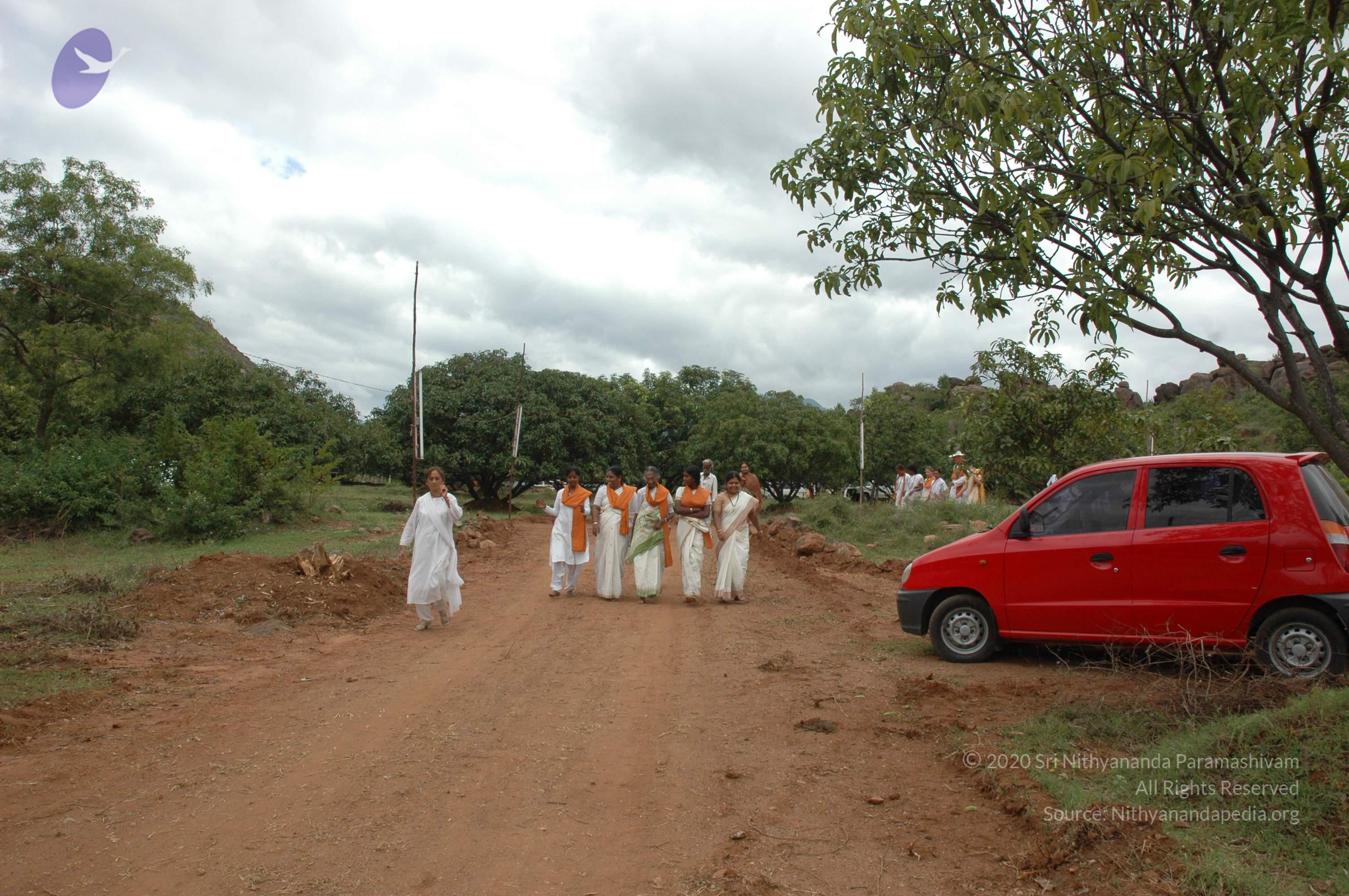 20081111_Photo_2032_DSC_1941_CMP_WM