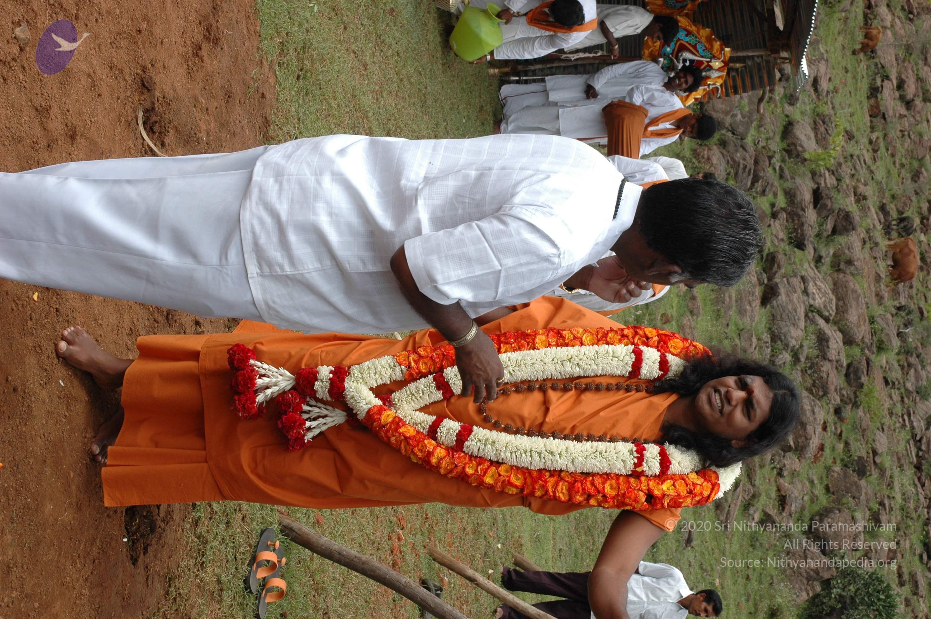 20081111_Photo_2039_DSC_2194_CMP_WM