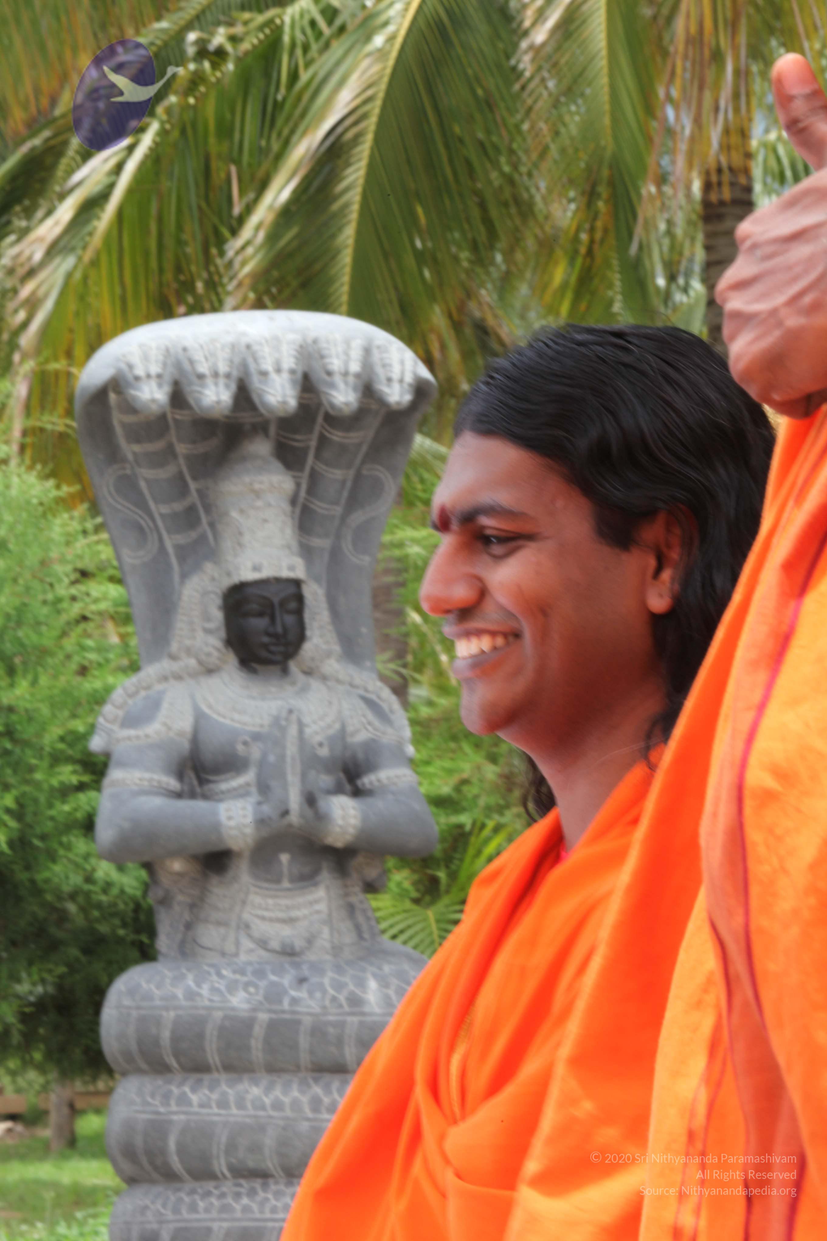 20090823_Photo_1005_IMG_6956_CMP_WM