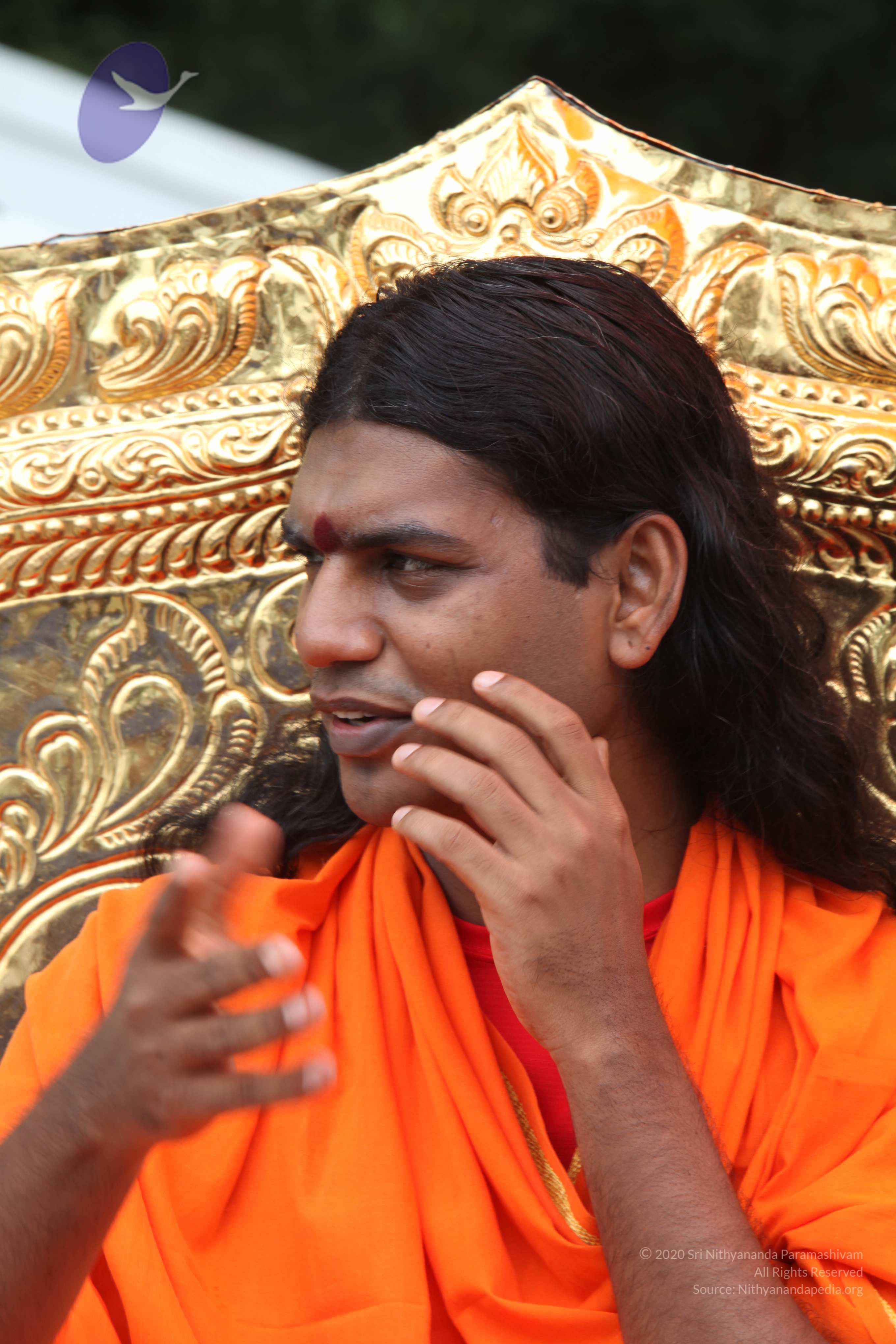 20090823_Photo_1007_IMG_6925_CMP_WM