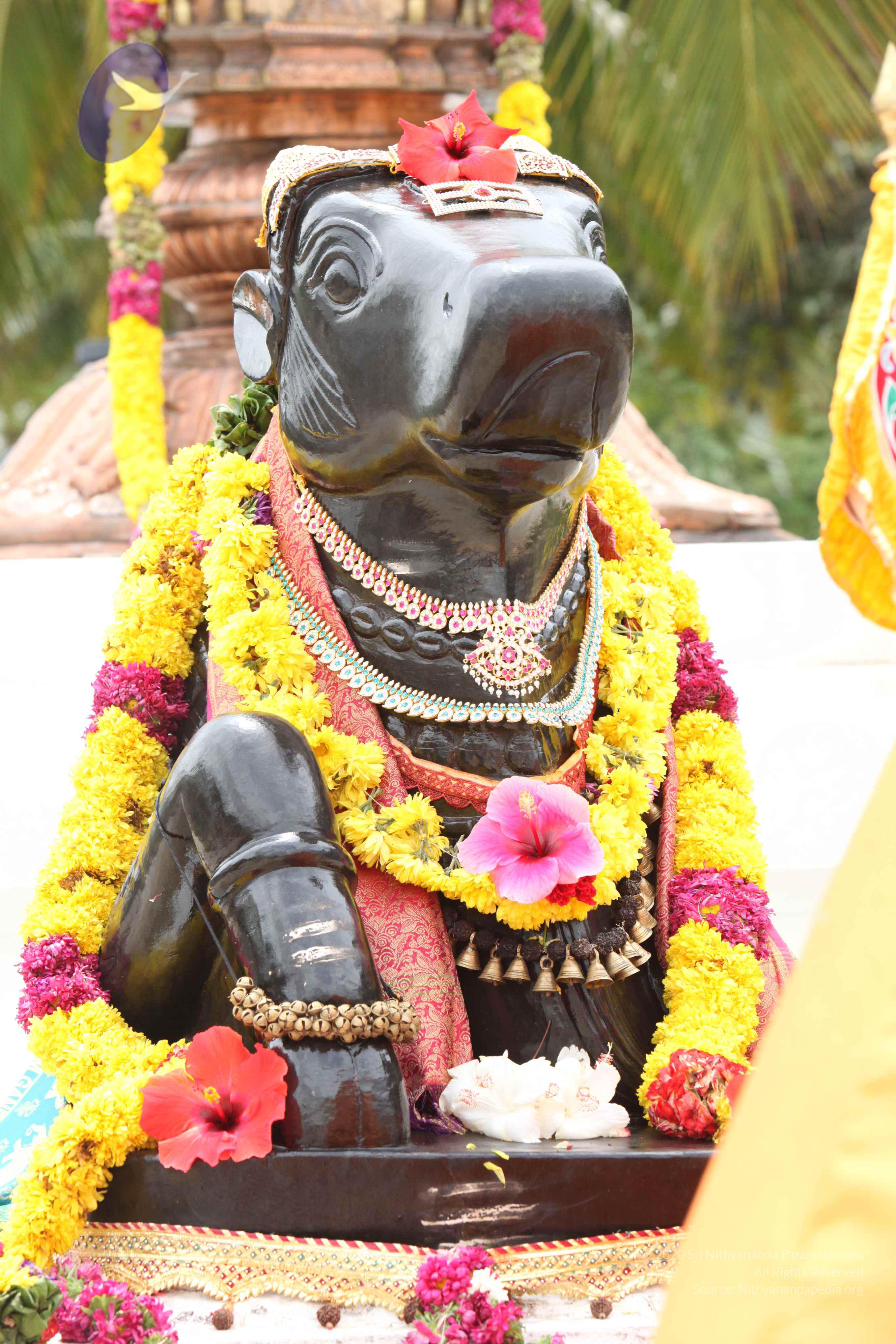 20090823_Photo_1013_IMG_6882_CMP_WM